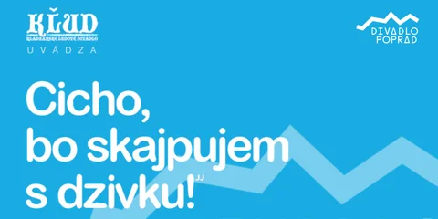 Quiet, because I'm Skyping with a Girl!