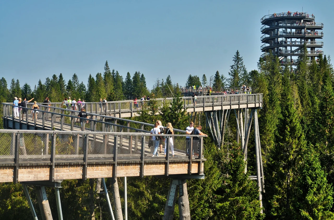 Bachledka - Treetop Walk